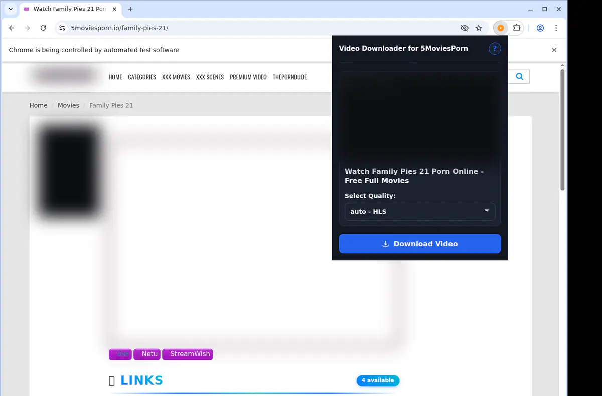 5moviesporn Video Downloader browser extension screenshot 3